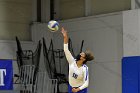 Women’s VB intersquad  Women’s Volleyball inter-squad match. : Women’s Volleyball, VB, inter squad, intersquad